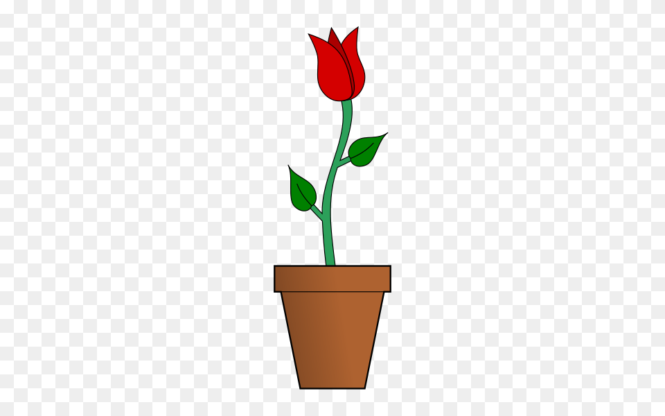 Symbol Flower, Plant, Rose, Tulip Free Png