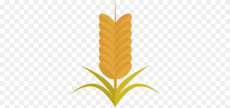 Symbol Illustration, Leaf, Plant, Corn, Food Png