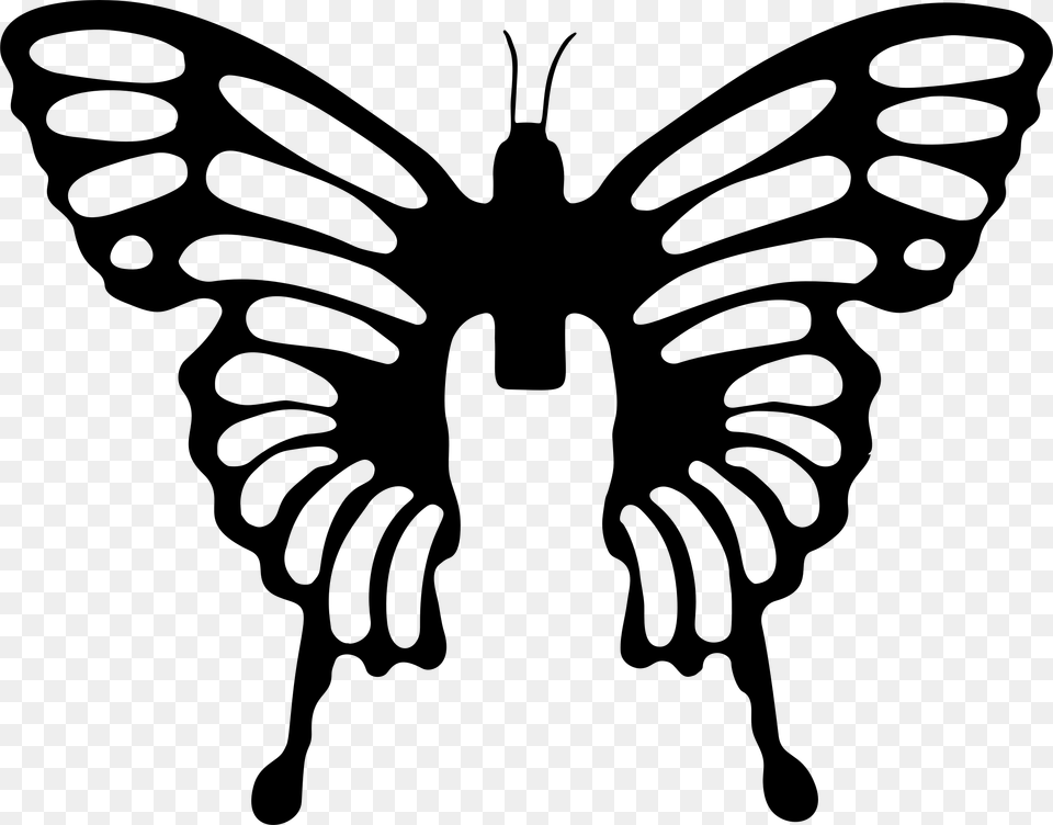 Symetrical Drawing Butterfly, Gray Free Png Download