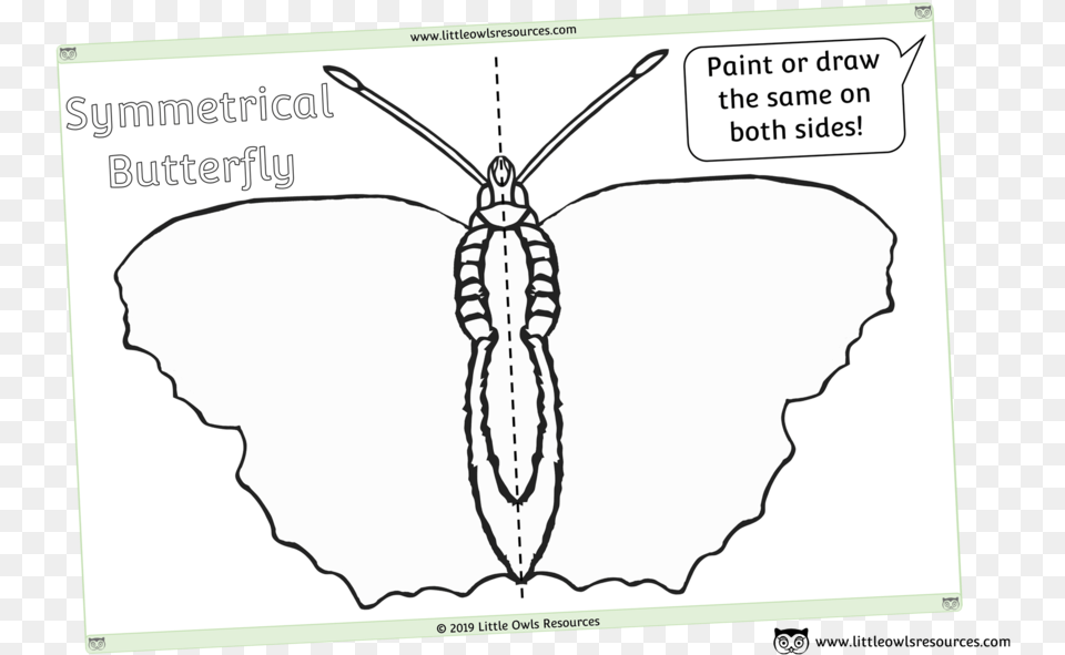 Symmetrical Blank Butterfly Sheet Sketch, Animal, Bee, Insect, Invertebrate Free Png