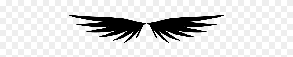 Symmetrical Wings, Animal, Bird, Vulture, Emblem Free Transparent Png