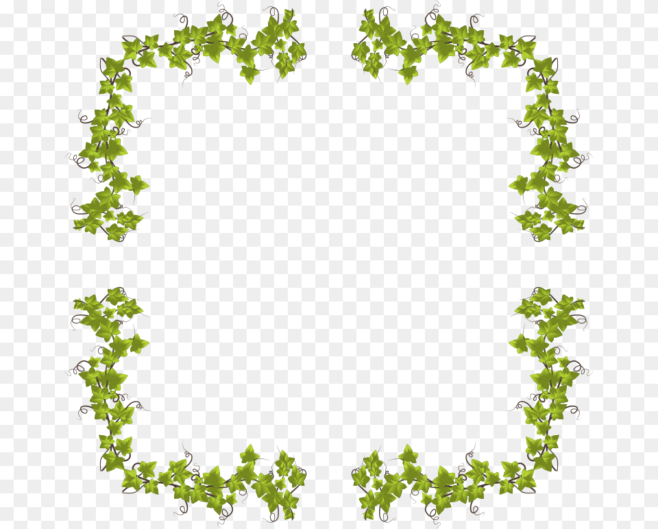 Symmetrytextborder Pedobear Seal Of Approval, Leaf, Plant, Vine, Ivy Free Png