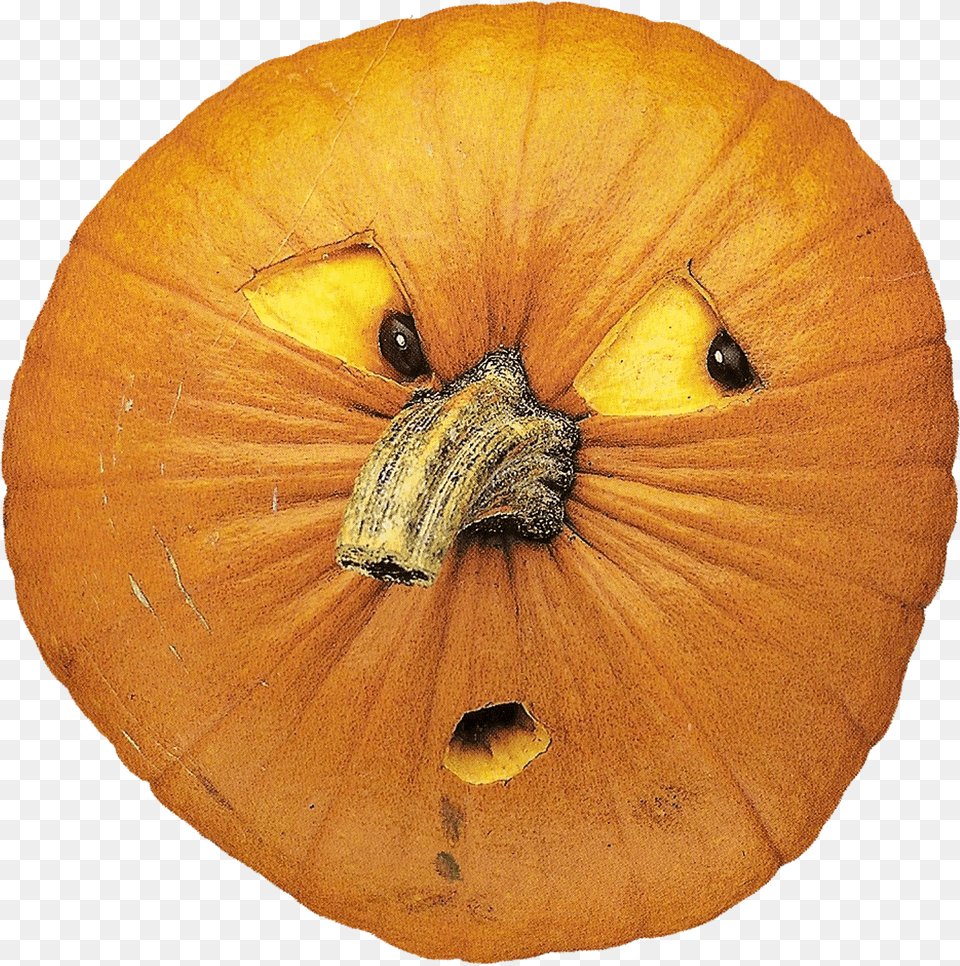 Sympathetic Pumpkin Reacts To A Poorly Carved Friend Free Transparent Png