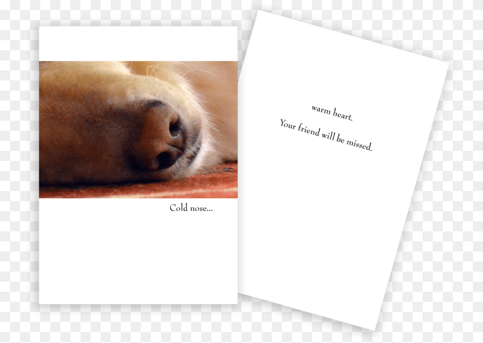 Sympathy Card Dog Nose Golden Retriever Retirement Cards, Animal, Canine, Mammal, Pet Png Image