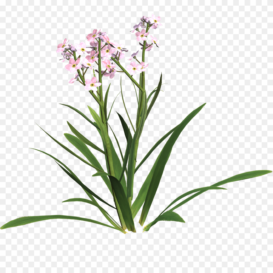 Sympathy Clip Art, Flower, Plant, Flower Arrangement Free Png
