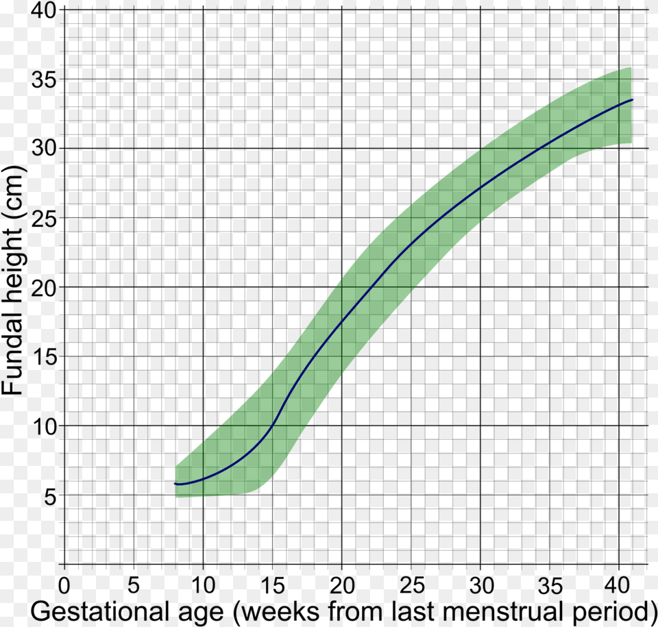 Symphysio Fundal Height Chart, Green, Light Png