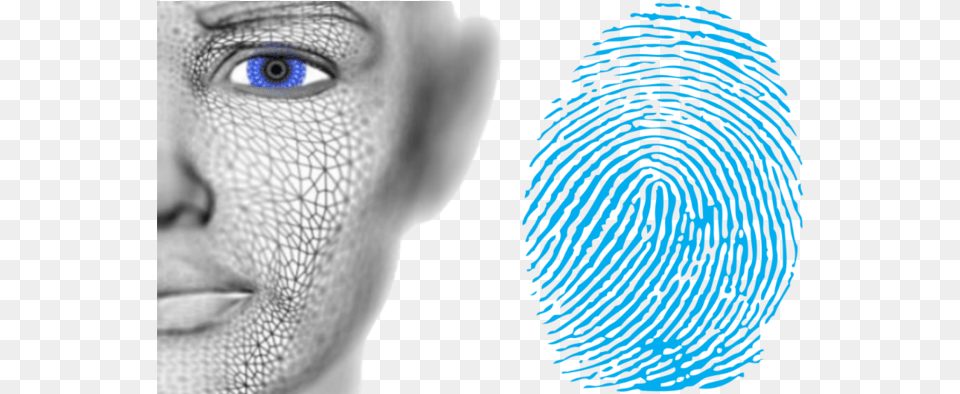 Synaptics Launches Multi Factor Facial And Fingerprint Fingerprint And Face Recognition, Head, Person, Photography, Portrait Png Image