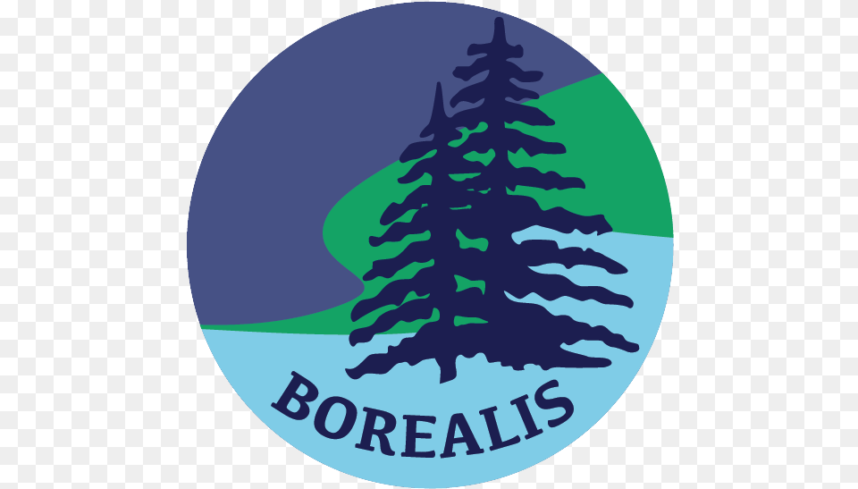 Synchro Team Borealis Try Out Christmas Tree Clipart Illustration, Fir, Pine, Plant, Logo Png Image