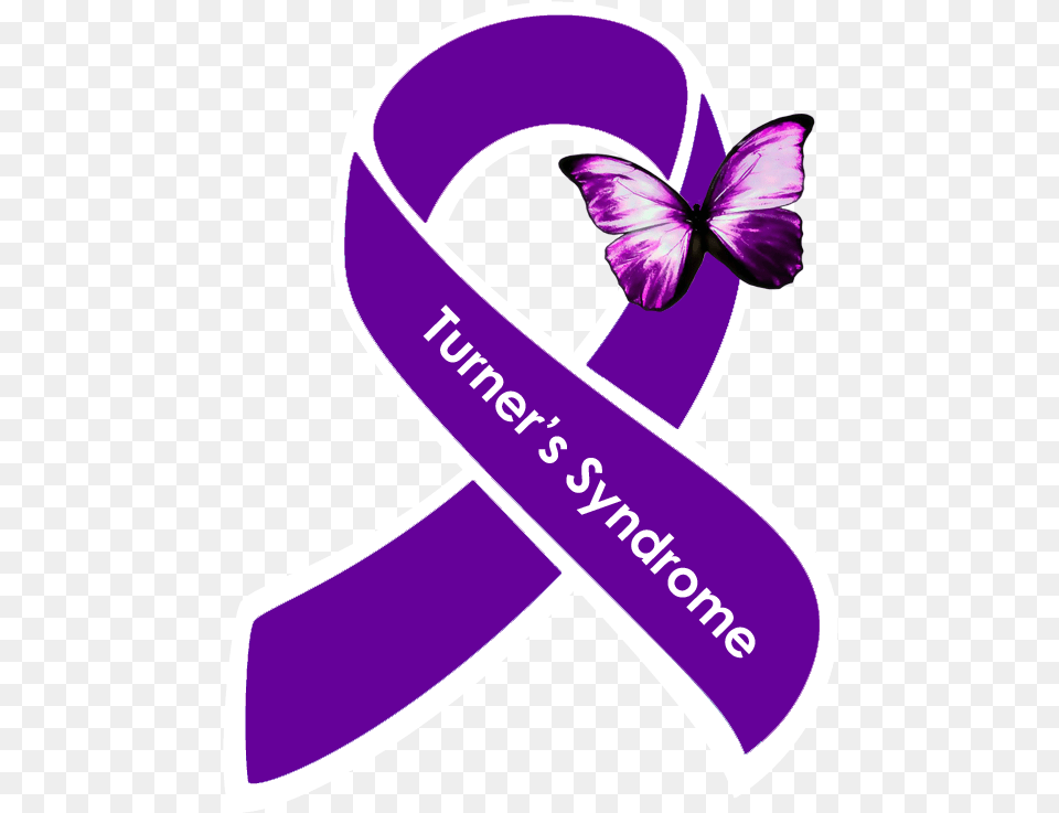 Syndrome Occurs In 1 Out Of Every 2500 Live Suicide Awareness Ribbon, Purple, Sash, Flower, Plant Png Image
