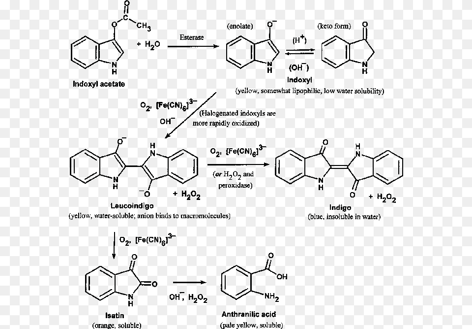Synthesis Of Clozapine Png