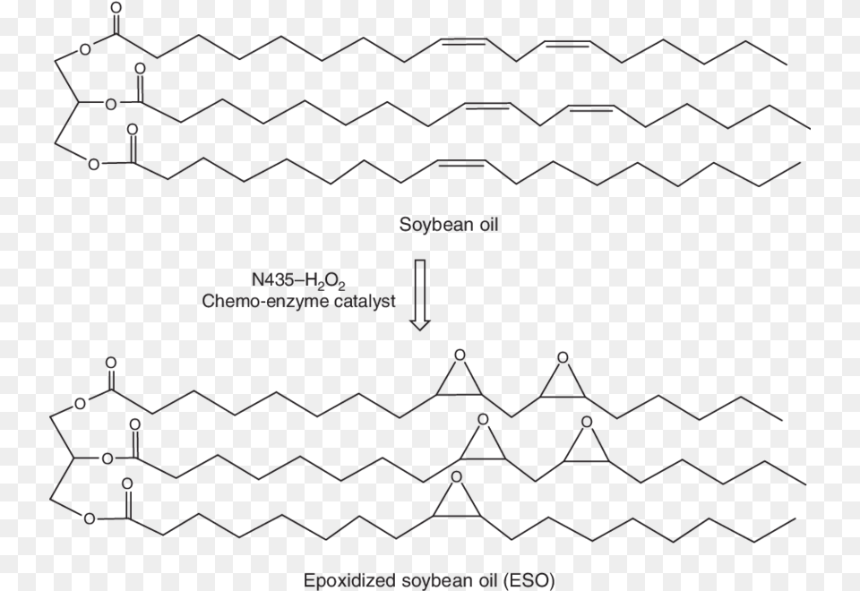 Synthesis Of Eso From Soybean Oil Via A Chemo Enzyme, Nature, Outdoors Png