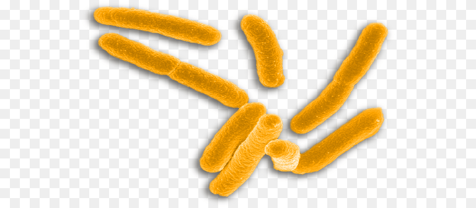Syphilis Can Have Very Serious Complications When Gonorrhea, Plant, Pollen, Food, Hot Dog Png