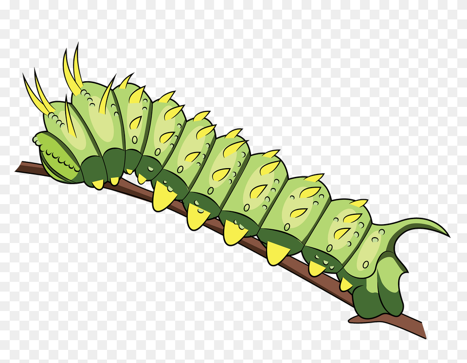 Syssphinx Hubbardi Caterpillar Clipart, Animal, Invertebrate, Worm Free Transparent Png