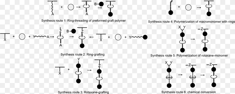 Sythesis Routes To Side Chain Polyrotaxnes Polyrotaxane, Gray Png Image