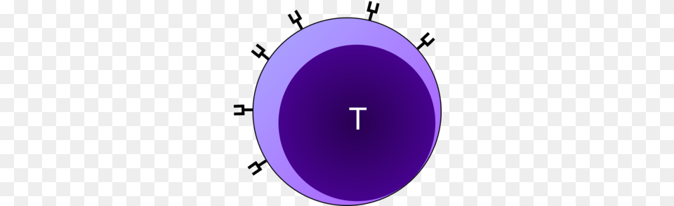 T Cell Clip Art, Purple, Sphere, Astronomy, Moon Free Png