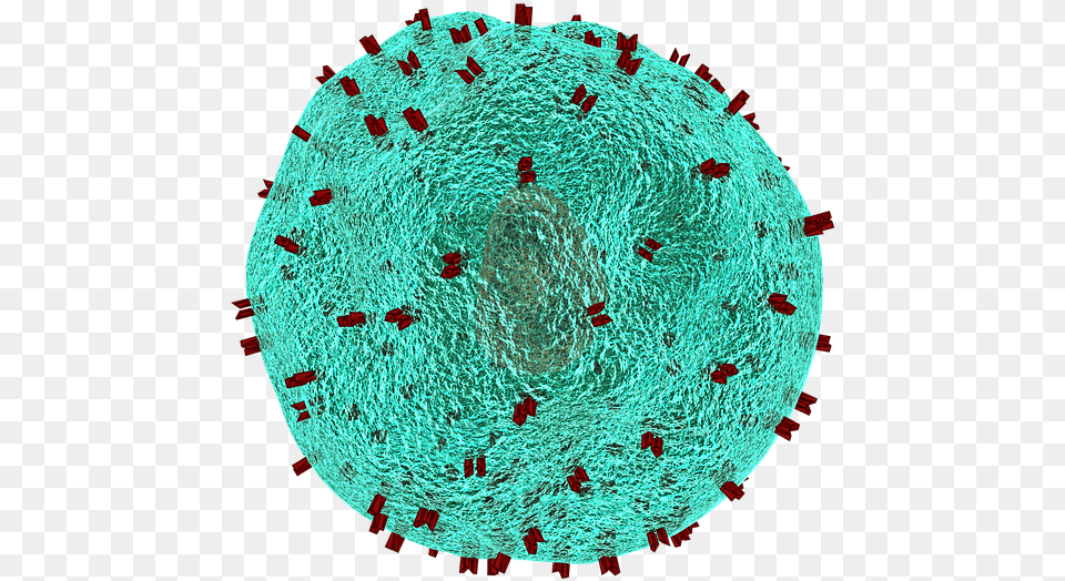 T Helper Cell Cell Immune System Blood Cells Virus T Cells, Home Decor, Sphere, Food, Dessert Free Transparent Png
