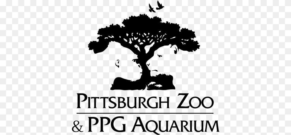 T Pittsburgh Zoo Logo, Gray Free Transparent Png