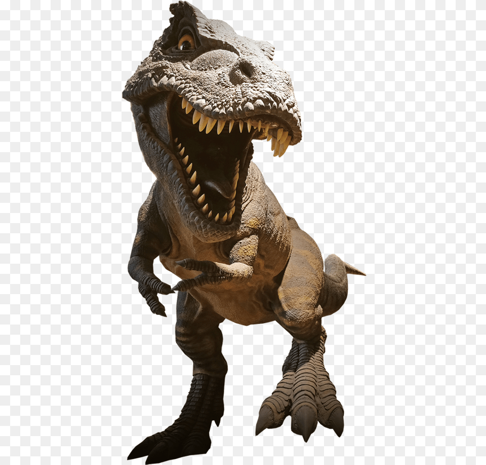 T Rex, Animal, Dinosaur, Reptile, T-rex Free Transparent Png