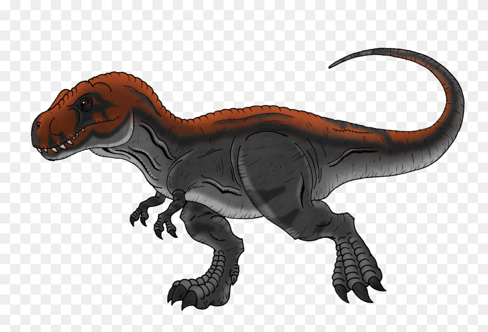 T Rex, Animal, Dinosaur, Reptile, T-rex Free Transparent Png