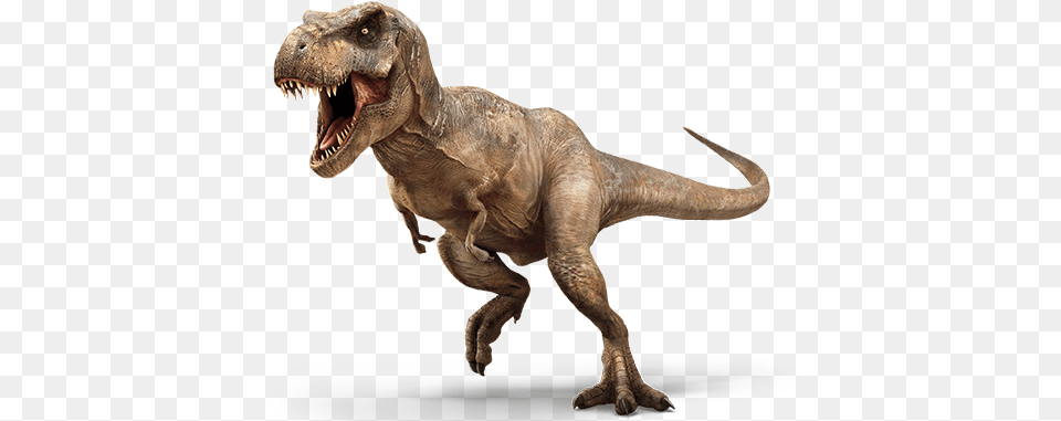 T Rex 3 Jurassic World Images, Animal, Dinosaur, Reptile, T-rex Free Png