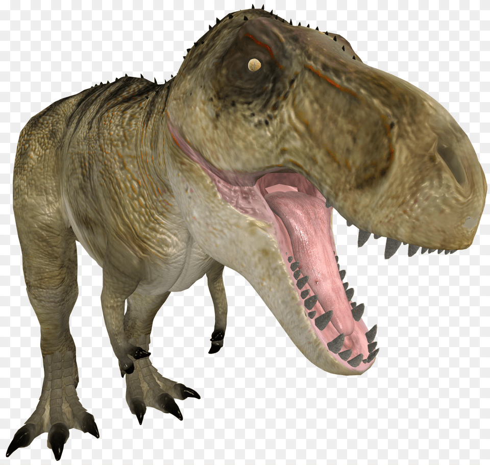 T Rex 3d 3d Computer Graphics, Animal, Dinosaur, Reptile, T-rex Png Image