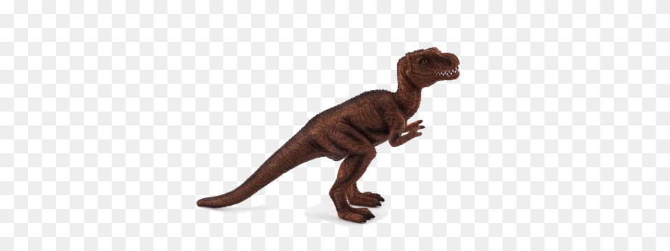 T Rex Baby, Animal, Dinosaur, Reptile, T-rex Free Png