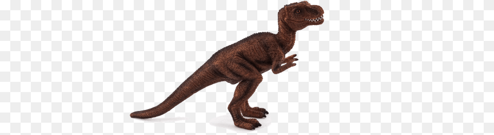 T Rex Baby Baby T Rex, Animal, Dinosaur, Reptile, T-rex Free Transparent Png