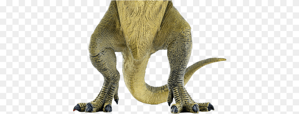 T Rex Cardboard Cutout, Animal, Dinosaur, Reptile, Electronics Free Png Download