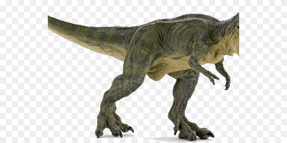 T Rex Closed Mouth, Animal, Dinosaur, Reptile, T-rex Png Image