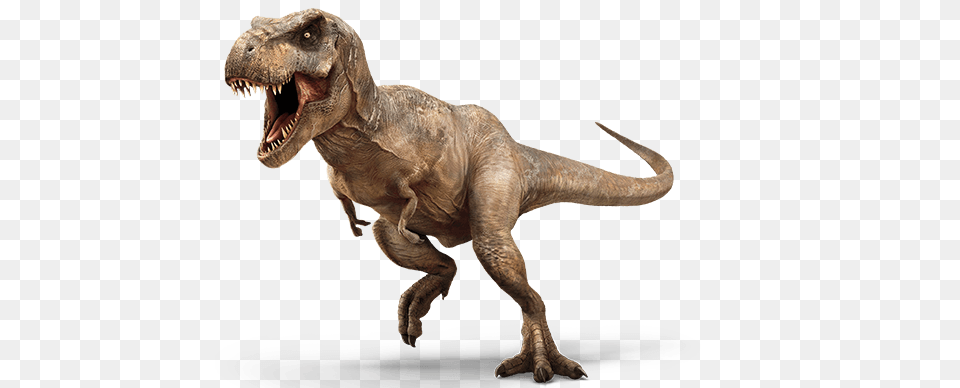 T Rex Dinosaur, Animal, Reptile, T-rex Free Png Download