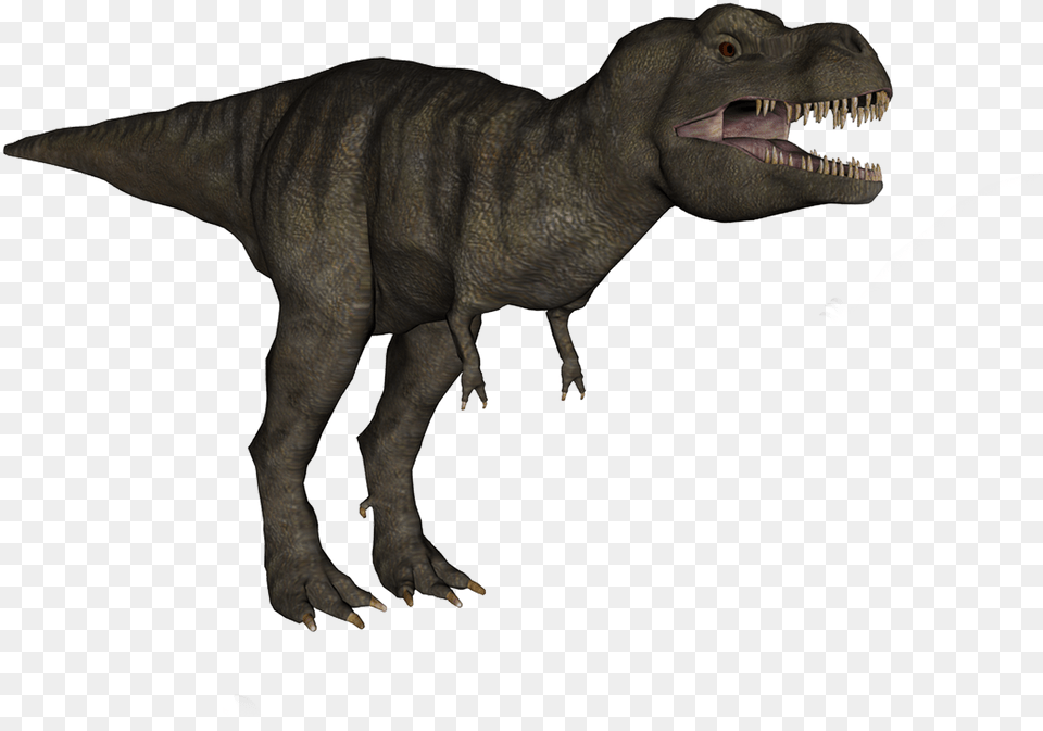 T Rex Dinosaur, Animal, Reptile, T-rex Free Png