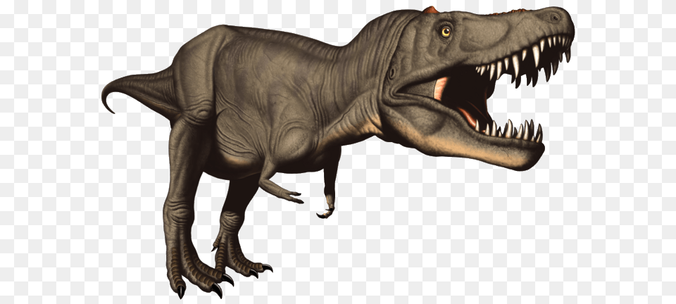 T Rex Dinosaur Clip Art, Animal, Reptile, T-rex Free Transparent Png