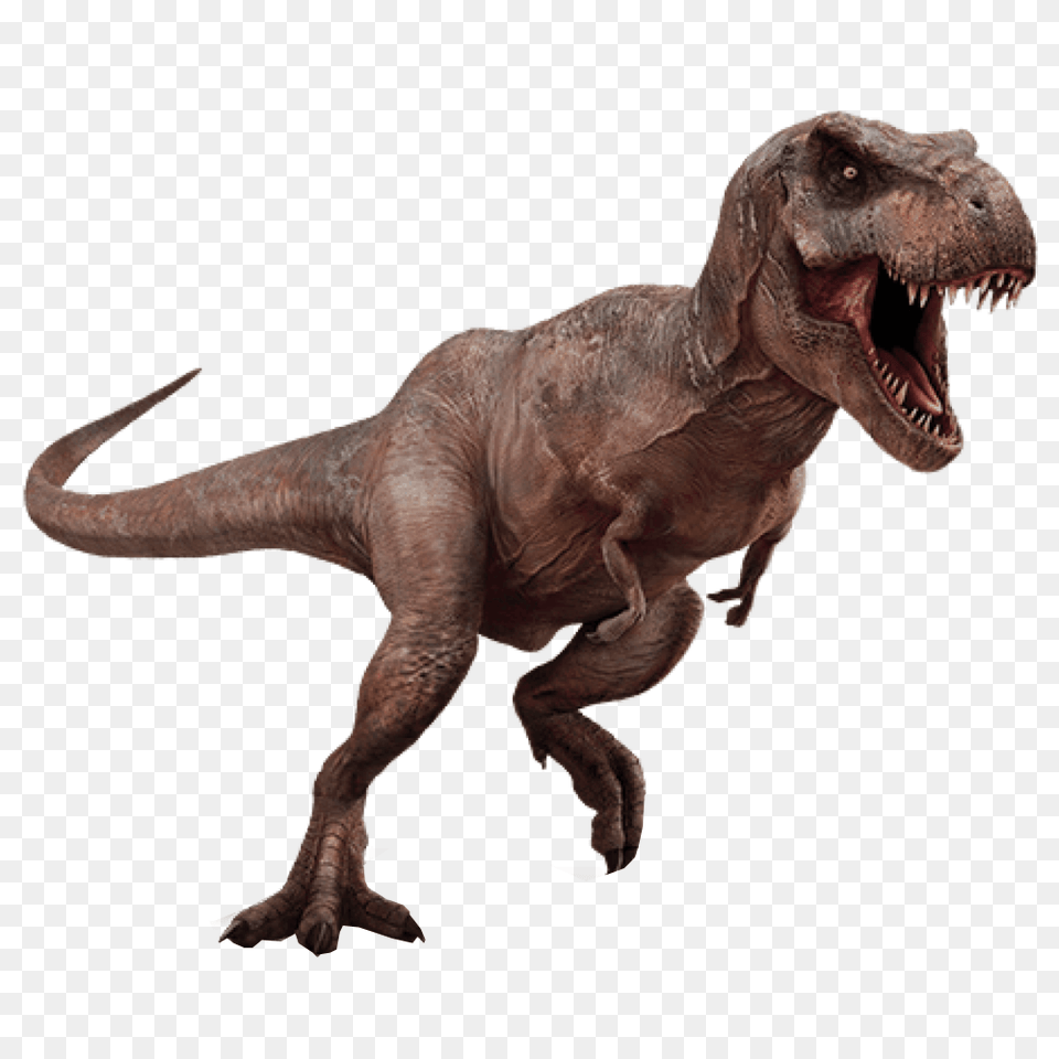 T Rex Dinosaur Transparent Background Dinosaurs With No Background, Animal, Reptile, T-rex Free Png Download