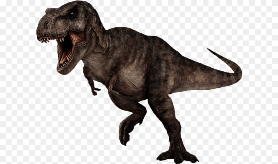T Rex Download File Hd T Rex Background, Animal, Dinosaur, Reptile, T-rex Png Image