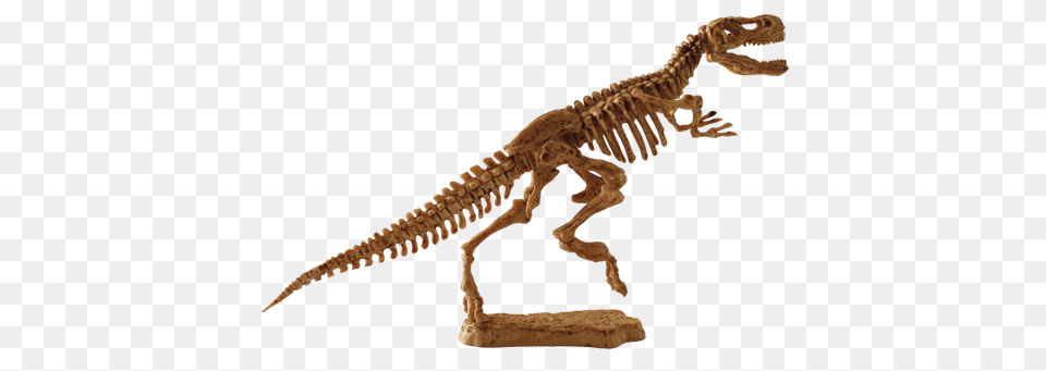 T Rex Fossil Animal, Antelope, Mammal, Wildlife Free Transparent Png