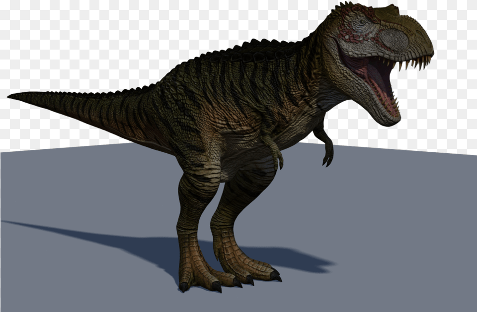 T Rex From Need Tyrannosaurus, Animal, Dinosaur, Reptile, T-rex Free Png Download