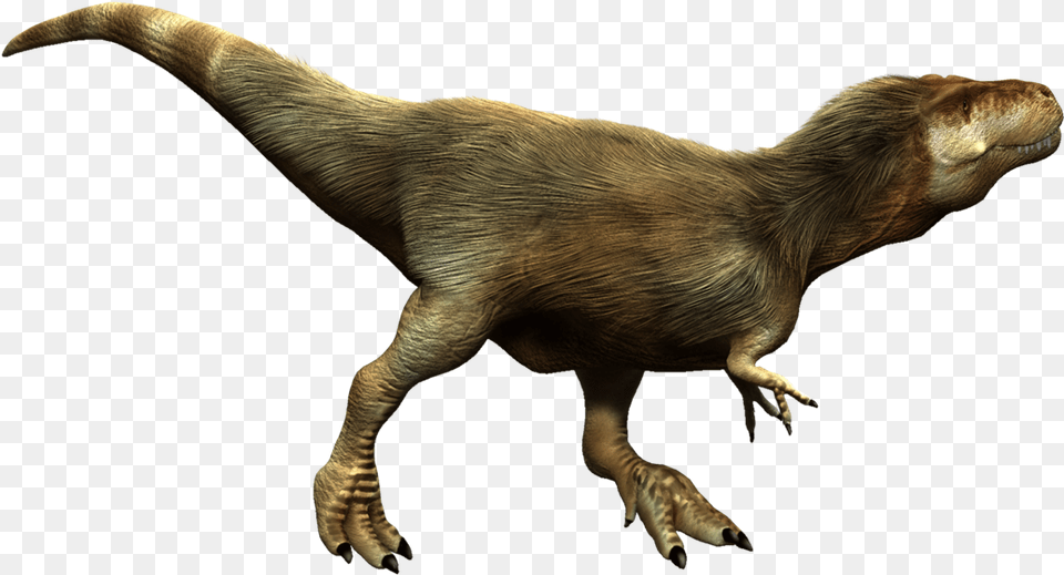 T Rex Hd Tyrannosaurus, Animal, Dinosaur, Reptile, T-rex Free Transparent Png
