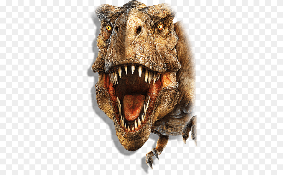 T Rex Head Jurassic World, Animal, Dinosaur, Reptile, T-rex Free Png Download
