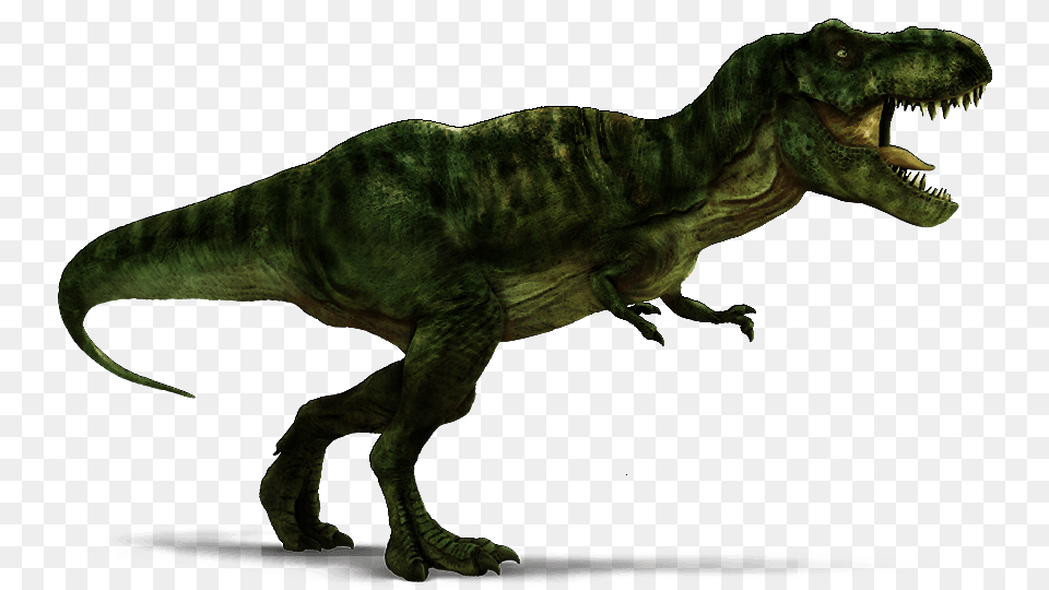T Rex Jurassic World Best Jurassic World Alive Spawn Mechanics, Animal, Dinosaur, Reptile, T-rex Png Image
