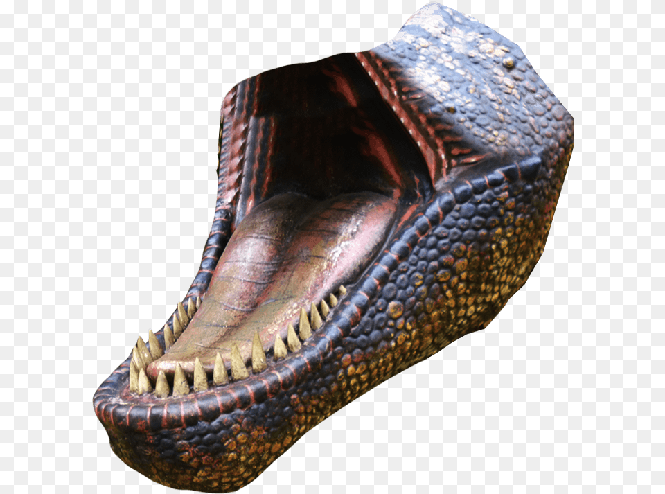 T Rex Leather, Animal, Dinosaur, Reptile, Snake Free Png