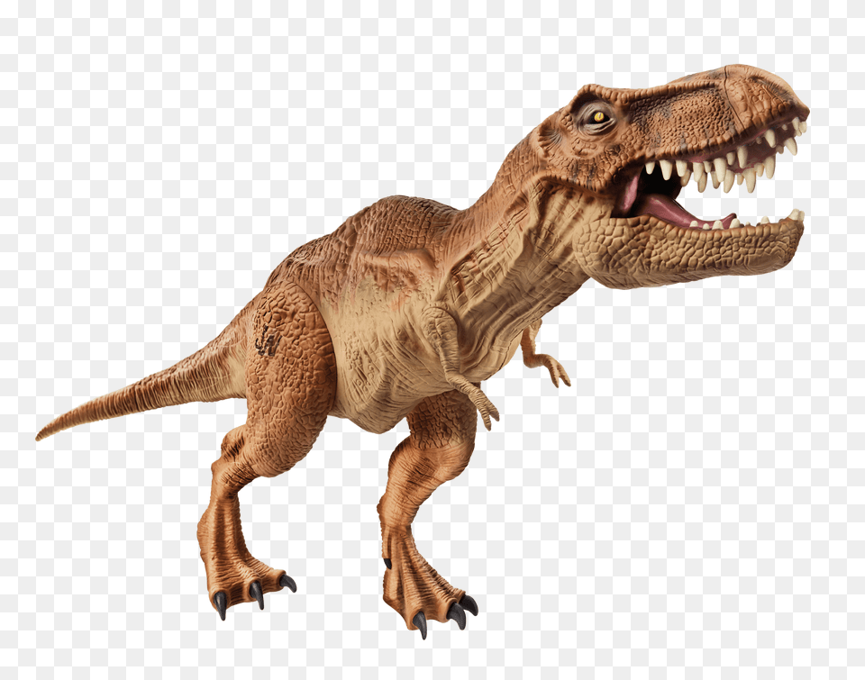 T Rex Open Mouth, Animal, Dinosaur, Reptile, T-rex Free Png Download