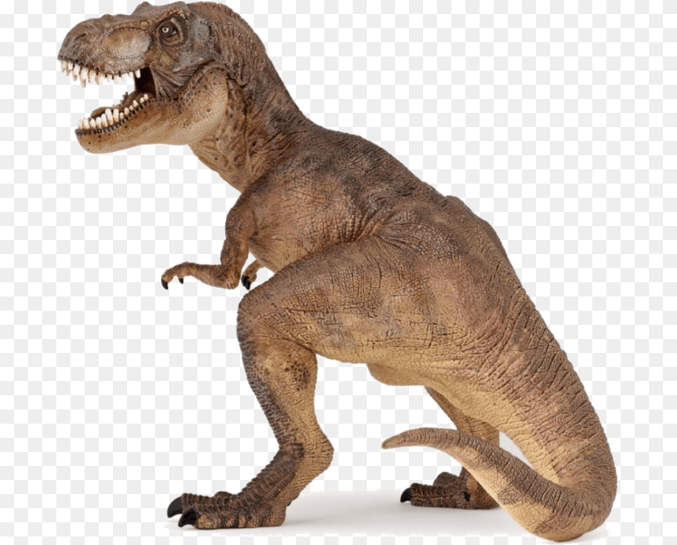 T Rex Picture Papo T Rex, Animal, Dinosaur, Reptile, T-rex Free Transparent Png