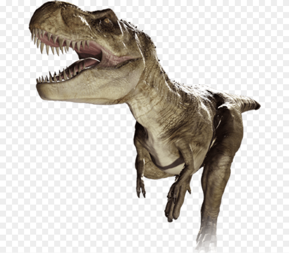 T Rex Running Image De T Rex, Animal, Dinosaur, Reptile, T-rex Free Png Download