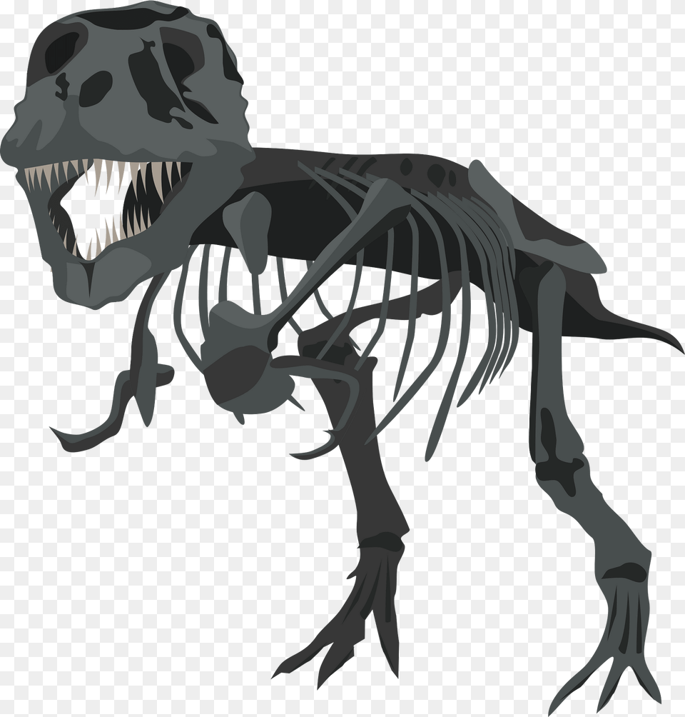 T Rex Skeleton Clipart, Animal, Dinosaur, Reptile, T-rex Free Png