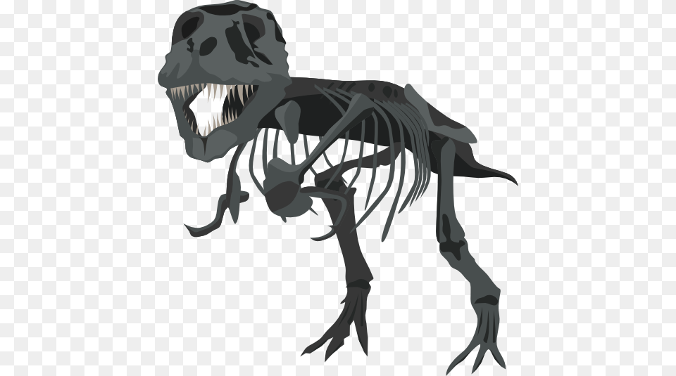 T Rex Skeleton Clipart, Animal, Dinosaur, Reptile, T-rex Png