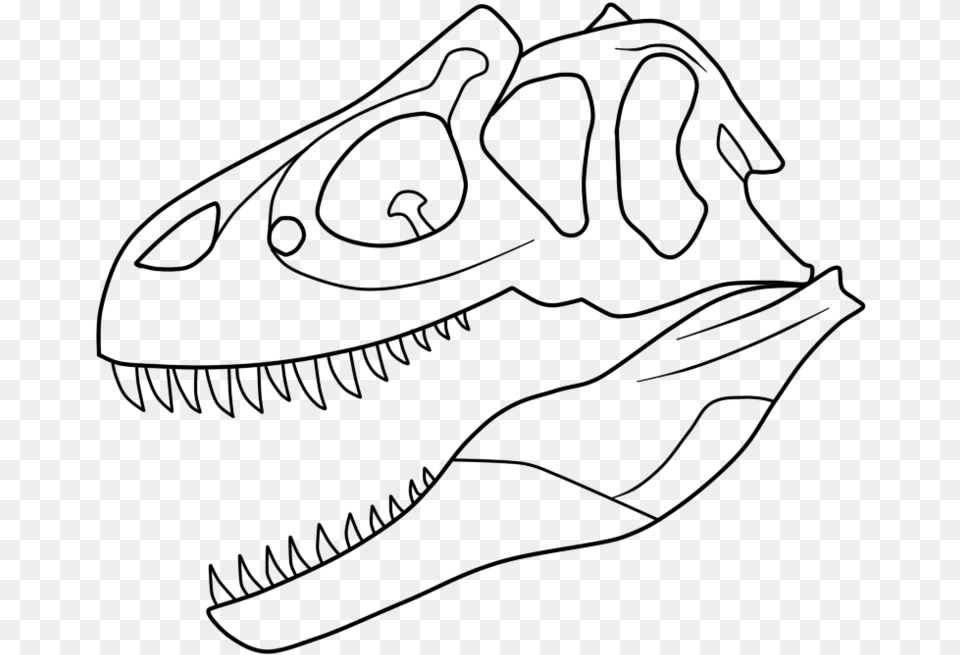 T Rex Skeleton Coloring Pages Sketch, Gray Free Transparent Png