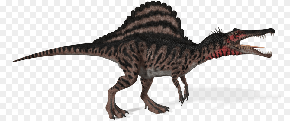T Rex Skeleton Spinosaurus, Animal, Dinosaur, Reptile, T-rex Free Transparent Png