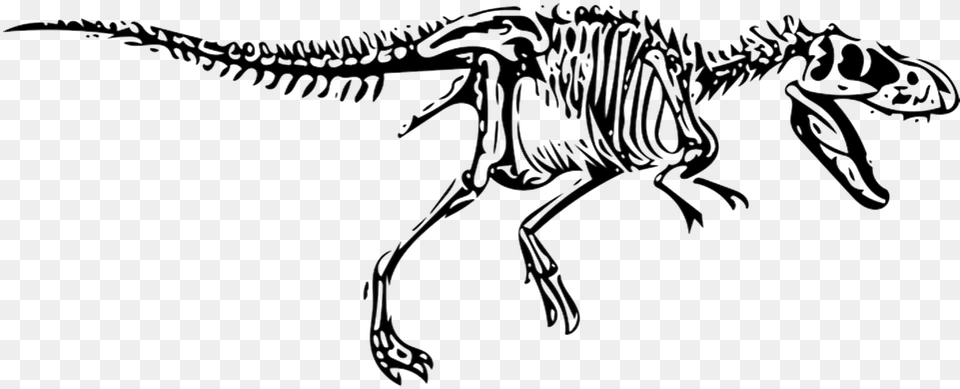T Rex Skeleton Svg, Animal, Dinosaur, Reptile Free Png