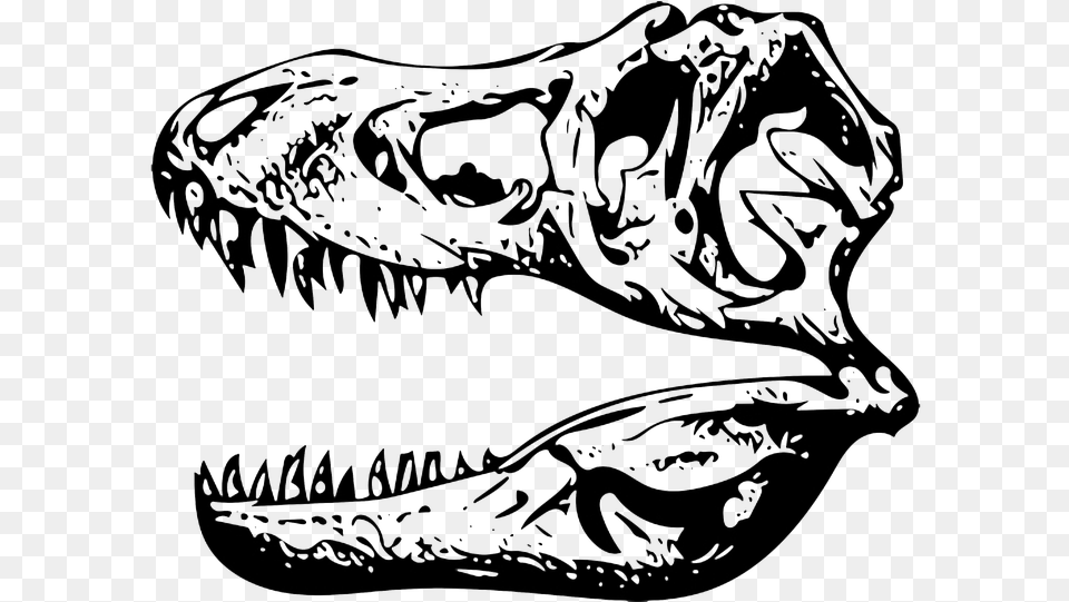 T Rex Skull Clip Art, Animal, Reptile Free Png Download