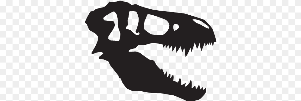 T Rex Skull Dinosaur Fossil Wall Art Decal T Rex Skull Clip Art, Animal, Fish, Sea Life, Shark Free Png Download